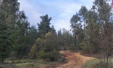 Parcela en venta en CAUQUENES