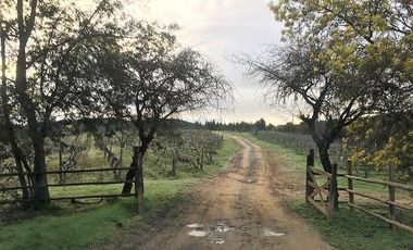 Parcela en venta en CAUQUENES