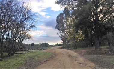 Parcela en venta en CAUQUENES