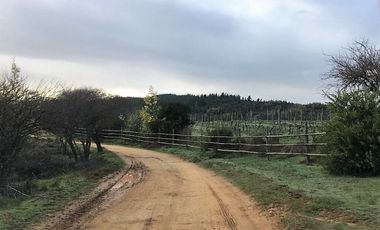 Parcela en venta en CAUQUENES
