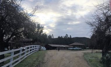 Parcela en venta en CAUQUENES