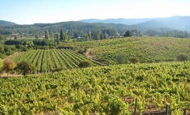 Parcela en venta en CAUQUENES