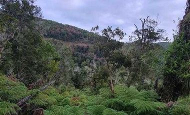 Parcela en venta en PUERTO MONTT