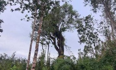 Parcela en venta en PUERTO MONTT