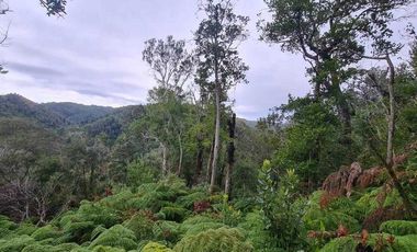Parcela en venta en PUERTO MONTT