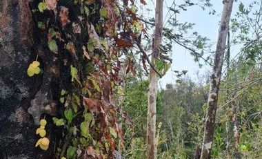 Parcela en venta en PUERTO MONTT