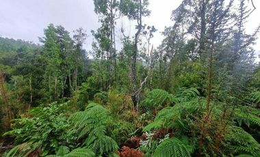 Parcela en venta en PUERTO MONTT