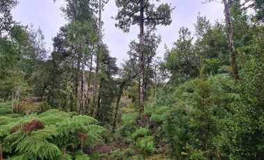 Parcela en venta en PUERTO MONTT