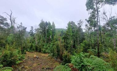 Parcela en venta en PUERTO MONTT