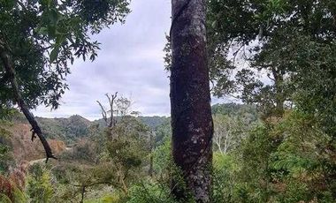 Parcela en venta en PUERTO MONTT