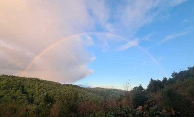 Parcela en venta en PUERTO MONTT