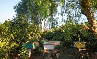 Parcela en venta en COQUIMBO