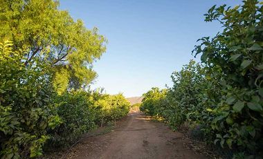 Parcela en venta en COQUIMBO