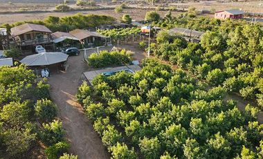 Parcela en venta en COQUIMBO