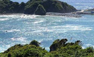 Parcela en venta en LOS MUERMOS