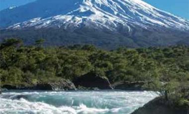 Parcela en venta en LOS MUERMOS