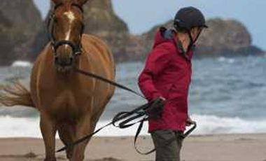 Parcela en venta en LOS MUERMOS