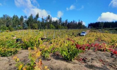 Parcela en venta en FLORIDA