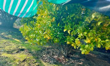 Parcela en venta en FLORIDA