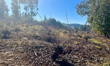 Parcela en venta en FLORIDA