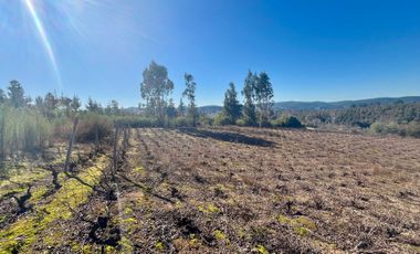 Parcela en venta en FLORIDA