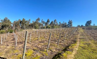 Parcela en venta en FLORIDA