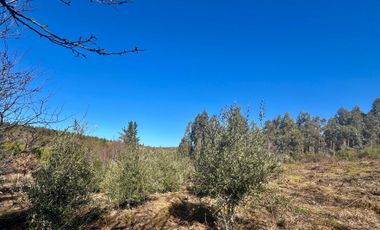 Parcela en venta en FLORIDA