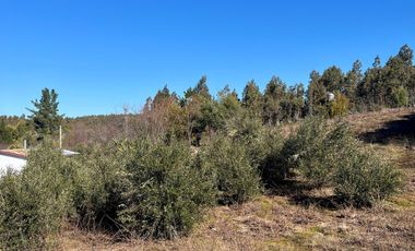 Parcela en venta en FLORIDA