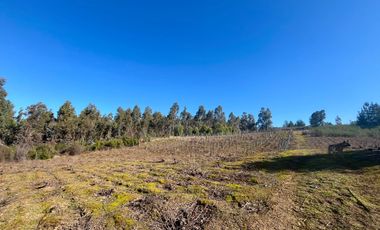 Parcela en venta en FLORIDA