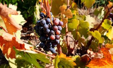 Parcela en venta en FLORIDA