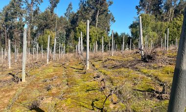 Parcela en venta en FLORIDA
