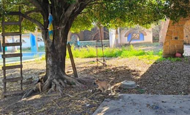 Morelos, Yautepec, Barrio de Santiago, Casa en Venta