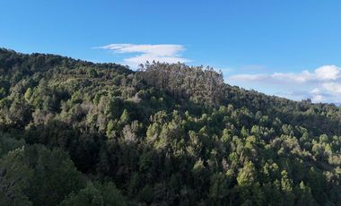 Parcela en venta en VALDIVIA