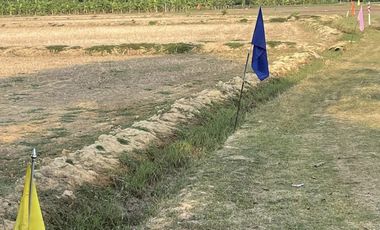 Land for sale in Na Yang, Phetchaburi