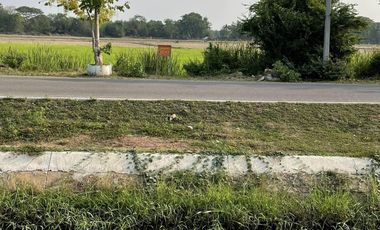 Land for sale in Na Yang, Phetchaburi