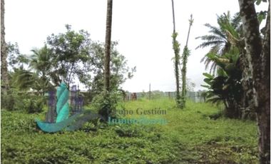 VENTA LOTE EN FRONTERA PANAM COSTA RICA