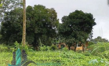 VENTA LOTE EN FRONTERA PANAM COSTA RICA