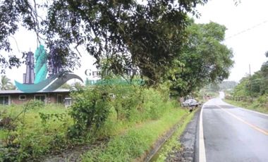 VENTA LOTE EN FRONTERA PANAM COSTA RICA
