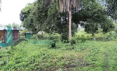 VENTA LOTE EN FRONTERA PANAM COSTA RICA