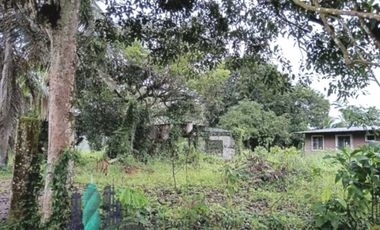 VENTA LOTE EN FRONTERA PANAM COSTA RICA