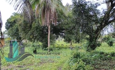 VENTA LOTE EN FRONTERA PANAM COSTA RICA