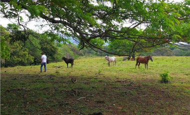 Terreno a La Venta, Oportunidad de Iversion