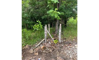 Terreno ideal para granja agrícola o desarrollo de residencia