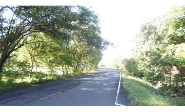 Terreno ideal para granja agrícola o desarrollo de residencia