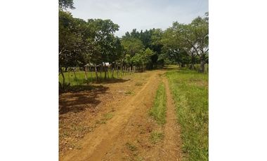 ¡Hermosa finca, totalmente plana!