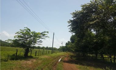 ¡Hermosa finca, totalmente plana!