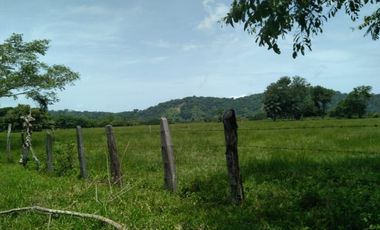 ¡Hermosa finca, totalmente plana!