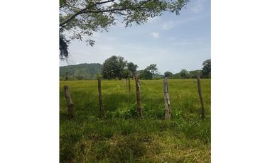 ¡Hermosa finca, totalmente plana!