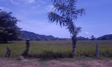 ¡Hermosa finca, totalmente plana!