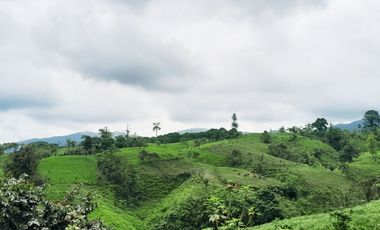 Venta de Hacienda en el Sector Santo Domingo, a 16 km de la Ciudad.